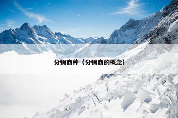 分销商种（分销商的概念）
