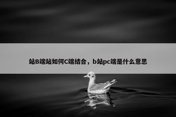 站B端站如何C端结合，b站pc端是什么意思