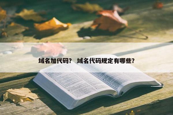 域名加代码？ 域名代码规定有哪些？