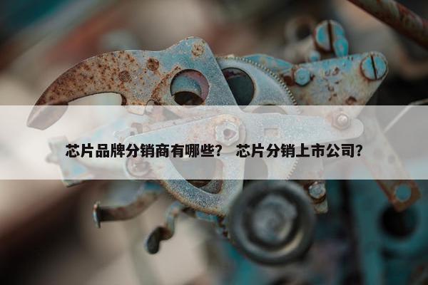 芯片品牌分销商有哪些？ 芯片分销上市公司？
