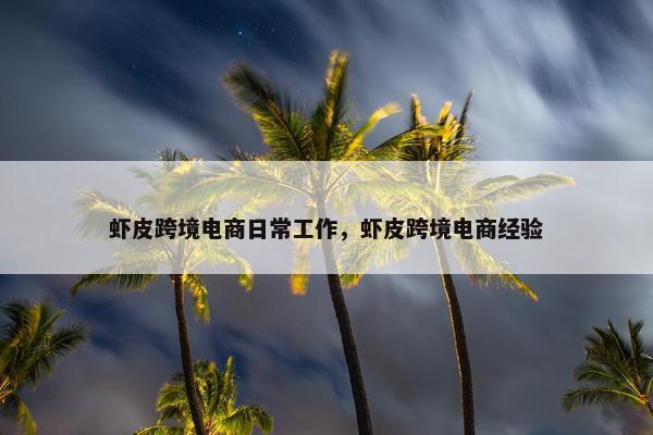 虾皮跨境电商日常工作，虾皮跨境电商经验