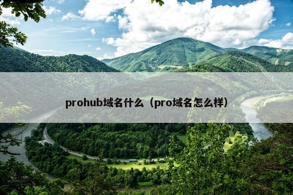 prohub域名什么（pro域名怎么样）