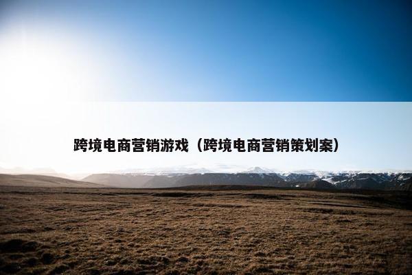 跨境电商营销游戏（跨境电商营销策划案）