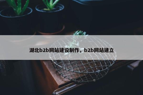 湖北b2b网站建设制作，b2b网站建立