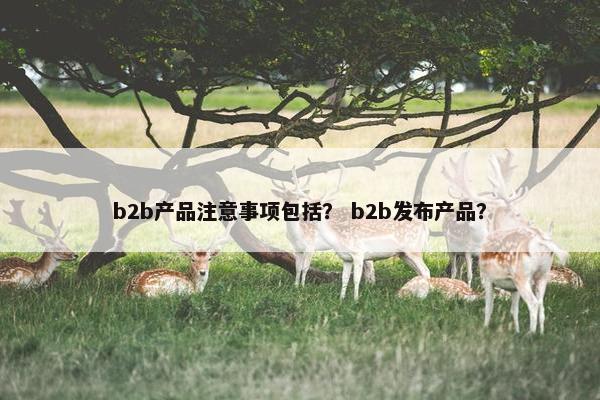 b2b产品注意事项包括？ b2b发布产品？