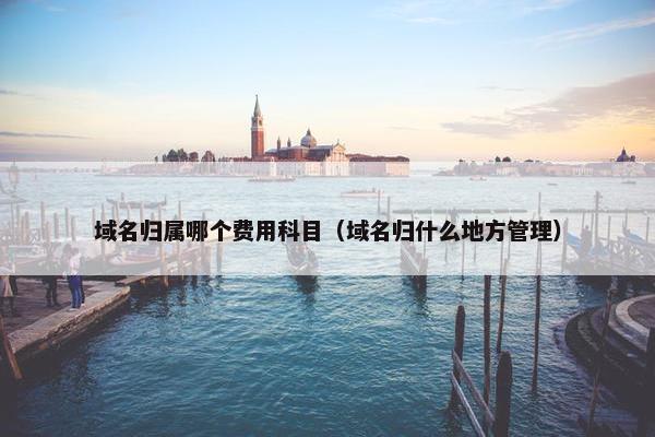 域名归属哪个费用科目（域名归什么地方管理）