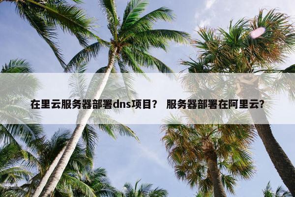 在里云服务器部署dns项目？ 服务器部署在阿里云？