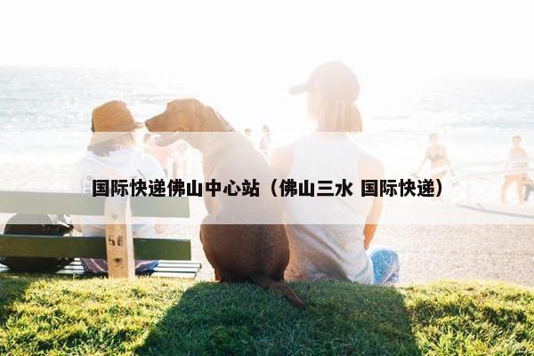 国际快递佛山中心站（佛山三水 国际快递）