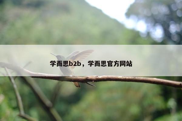 学而思b2b，学而思官方网站