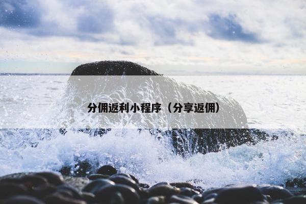 分佣返利小程序（分享返佣）