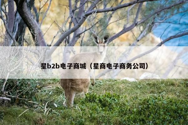 星b2b电子商城（星商电子商务公司）