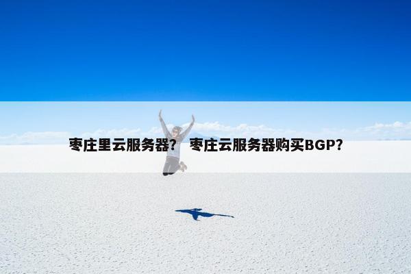 枣庄里云服务器？ 枣庄云服务器购买BGP？