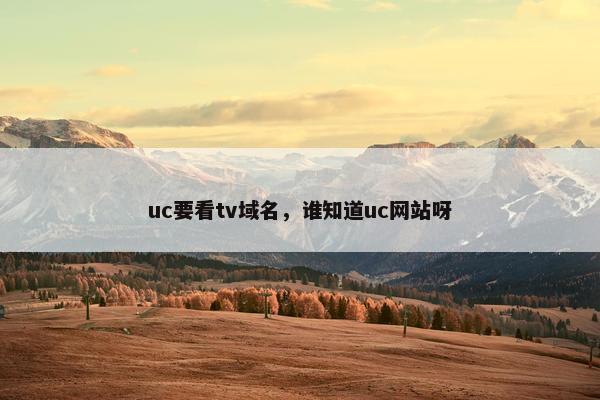 uc要看tv域名，谁知道uc网站呀