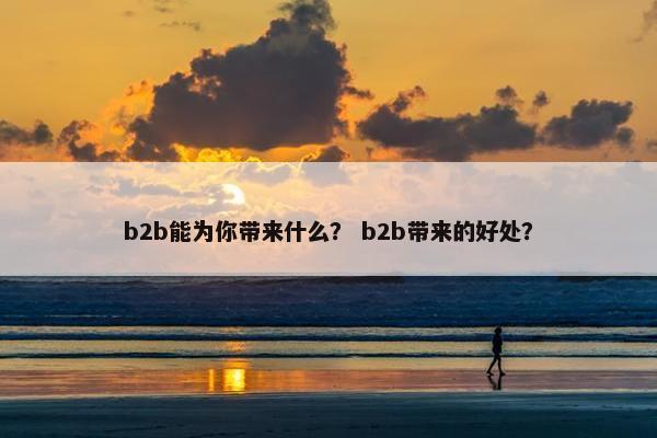 b2b能为你带来什么？ b2b带来的好处？