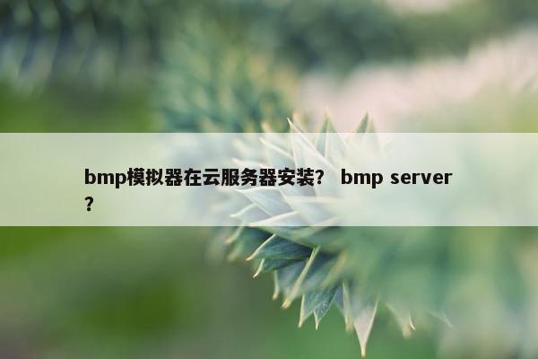 bmp模拟器在云服务器安装？ bmp server？