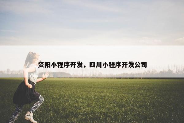 资阳小程序开发，四川小程序开发公司