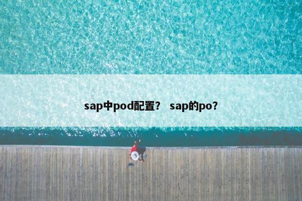 sap中pod配置？ sap的po？