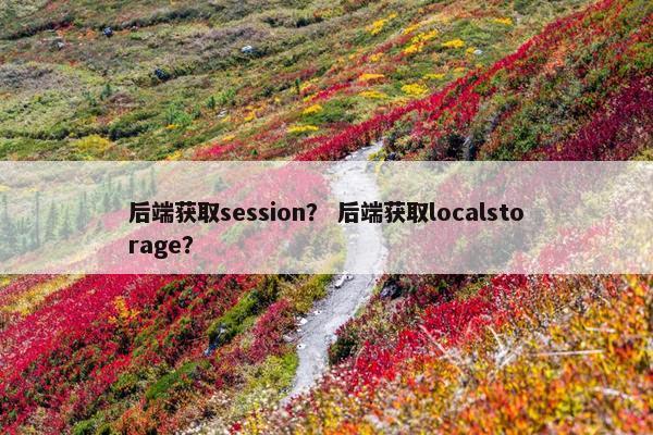 后端获取session？ 后端获取localstorage？