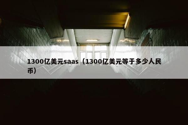 1300亿美元saas（1300亿美元等于多少人民币）