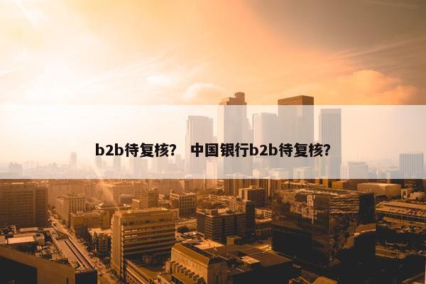b2b待复核？ 中国银行b2b待复核？