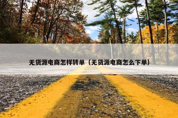 无货源电商怎样转单（无货源电商怎么下单）