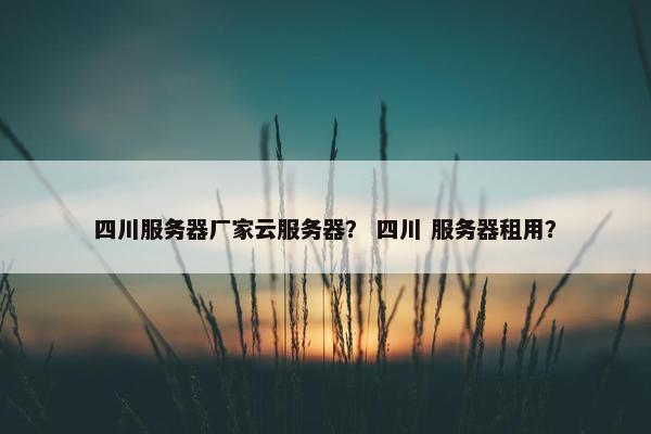 四川服务器厂家云服务器？ 四川 服务器租用？