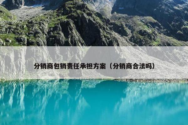分销商包销责任承担方案（分销商合法吗）