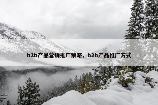b2b产品营销推广策略，b2b产品推广方式