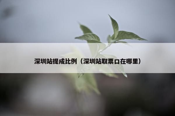 深圳站提成比例（深圳站取票口在哪里）