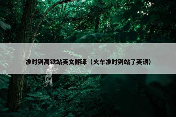 准时到高铁站英文翻译（火车准时到站了英语）