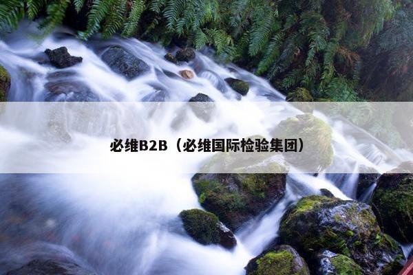 必维B2B（必维国际检验集团）