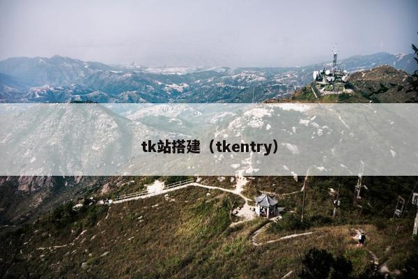 tk站搭建（tkentry）