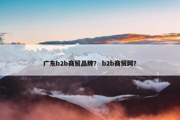 广东b2b商贸品牌？ b2b商贸网？