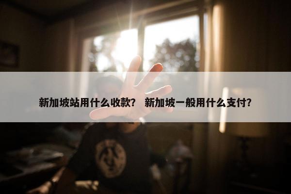 新加坡站用什么收款？ 新加坡一般用什么支付？
