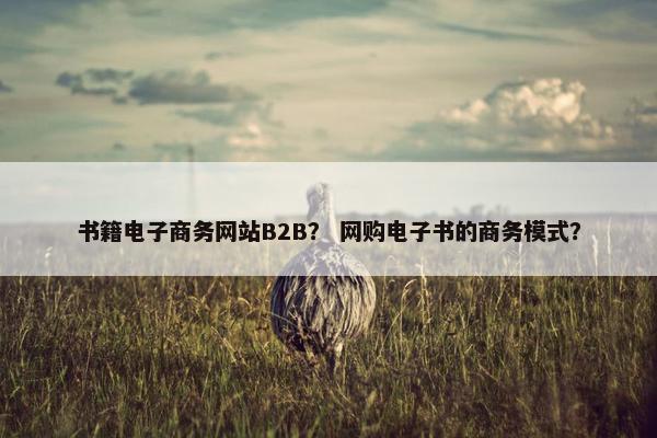 书籍电子商务网站B2B？ 网购电子书的商务模式？
