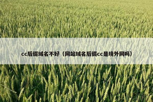 cc后缀域名不好（网站域名后缀cc是境外网吗）