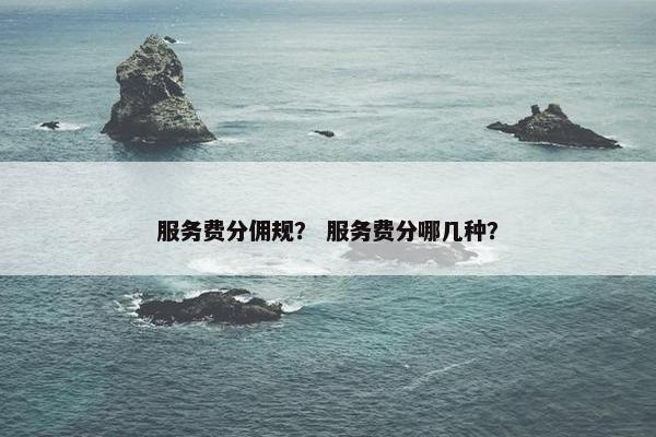 服务费分佣规？ 服务费分哪几种？