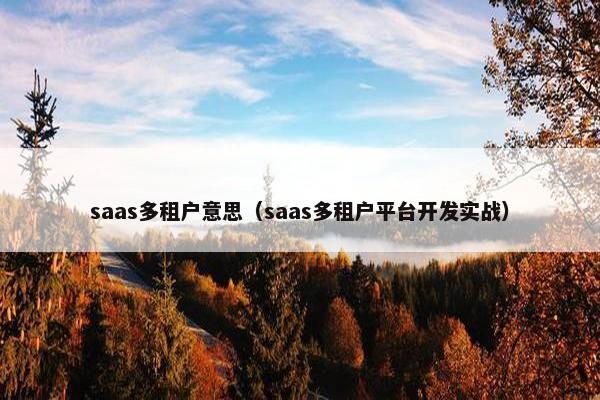 saas多租户意思（saas多租户平台开发实战）