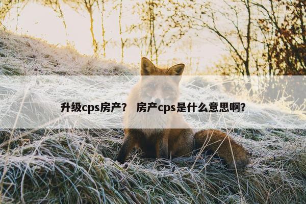 升级cps房产？ 房产cps是什么意思啊？