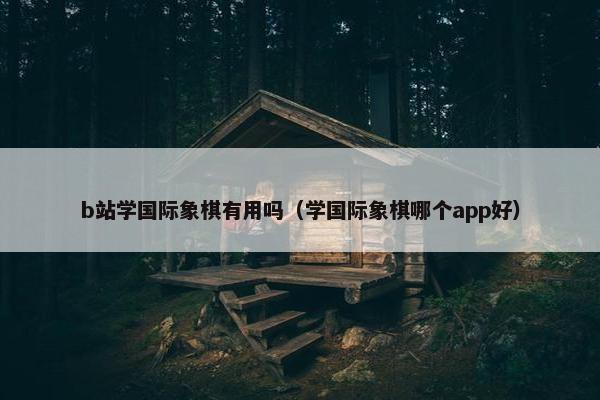 b站学国际象棋有用吗（学国际象棋哪个app好）