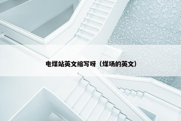 电煤站英文缩写呀（煤场的英文）