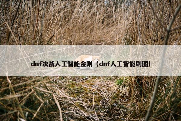 dnf决战人工智能金刚（dnf人工智能刷图）