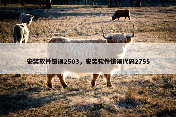 安装软件错误2503，安装软件错误代码2755