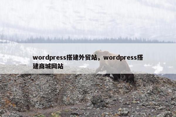 wordpress搭建外贸站，wordpress搭建商城网站