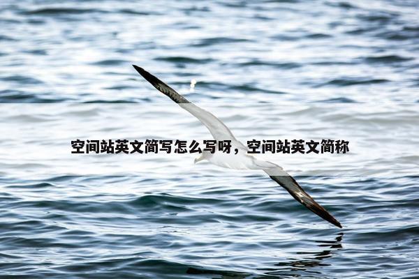 空间站英文简写怎么写呀，空间站英文简称