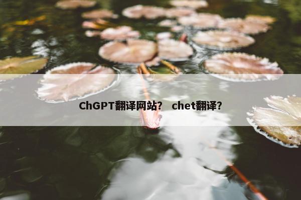 ChGPT翻译网站？ chet翻译？