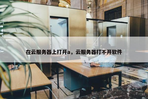 在云服务器上打开a，云服务器打不开软件