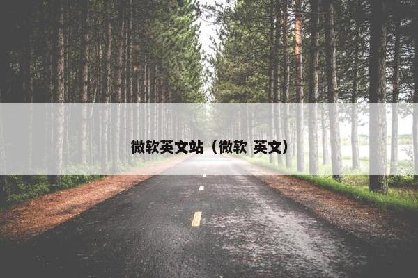微软英文站（微软 英文）