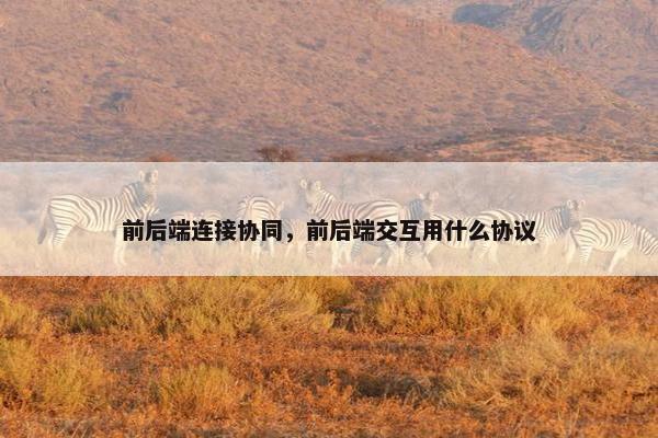 前后端连接协同，前后端交互用什么协议