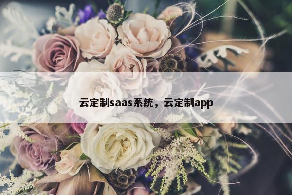 云定制saas系统，云定制app